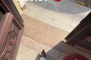 现场实拍：彭伟国角球区附近开任意球，后点队友包抄偏出！